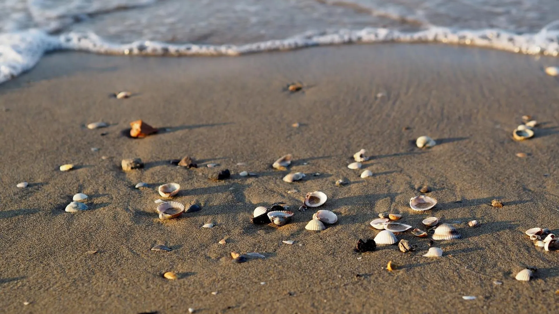 Seaside Flat With Terrace - Beahost Apartment Bibione Italy